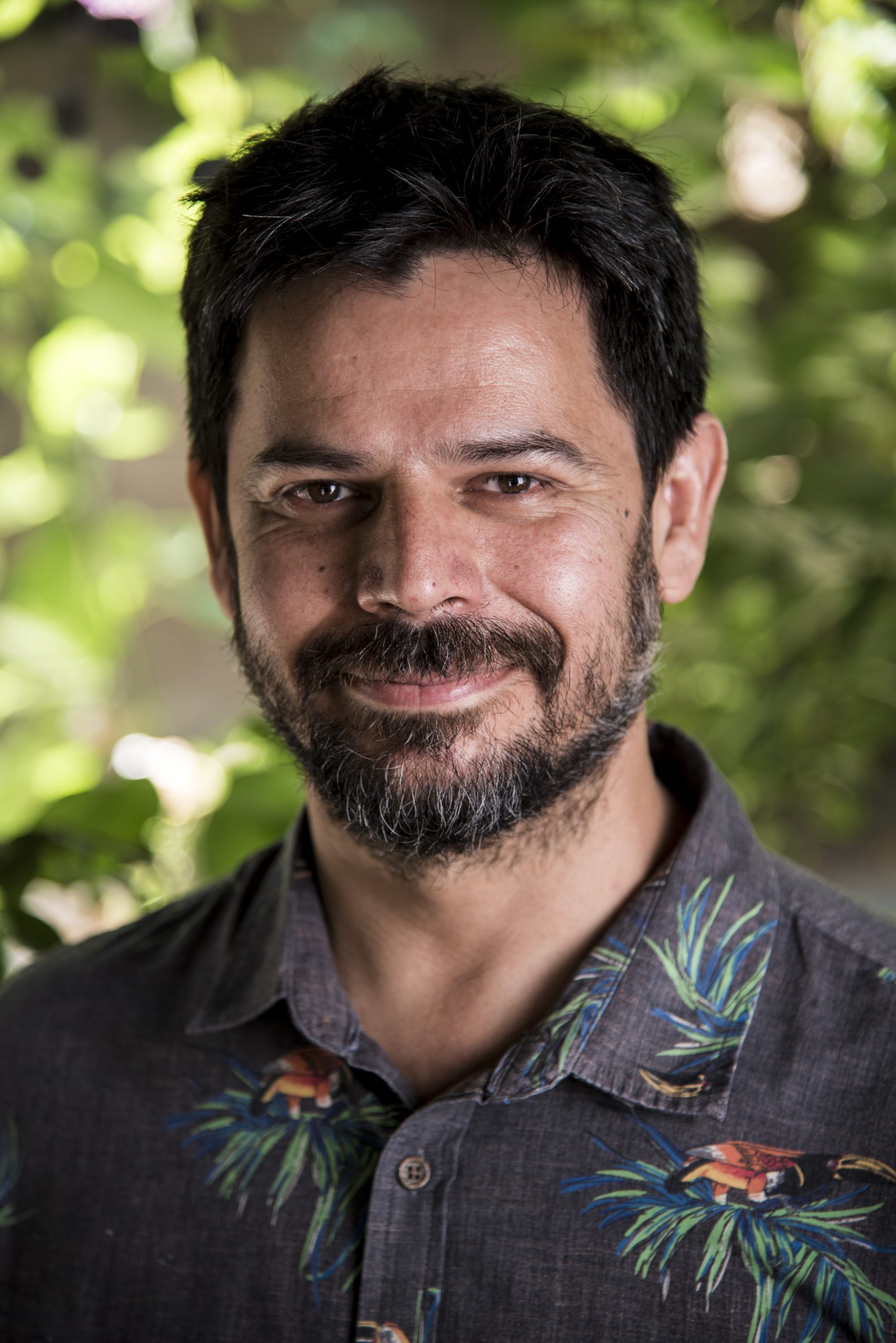 Directorio_ Amaro
